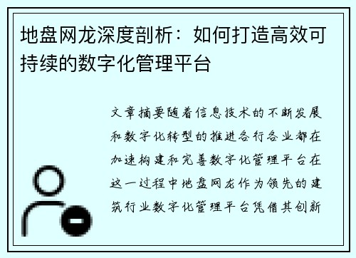 地盘网龙深度剖析：如何打造高效可持续的数字化管理平台