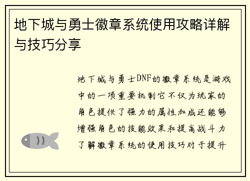 地下城与勇士徽章系统使用攻略详解与技巧分享